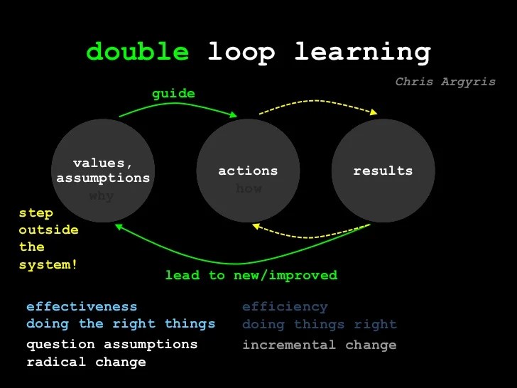 double loop learning Chris Argyris