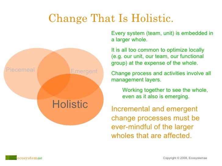 An Emergent Approach to Transitioning Toward Agile Organization