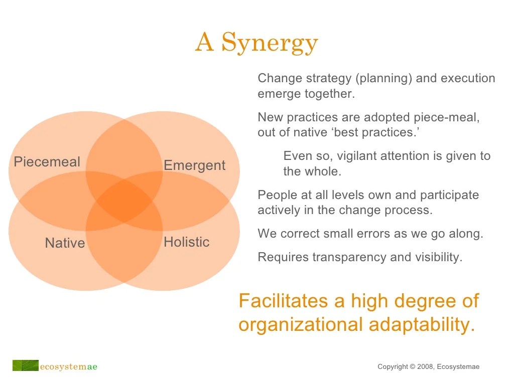 An Emergent Approach to Transitioning Toward Agile Organization