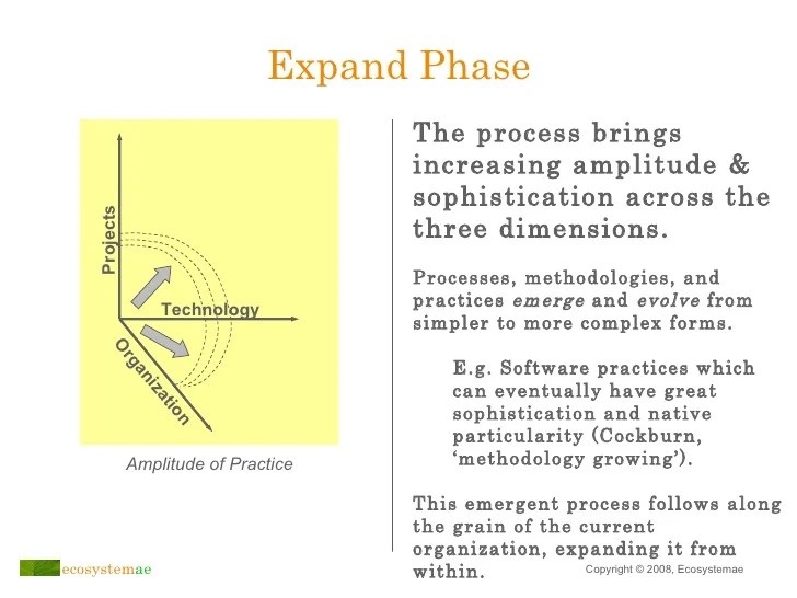 An Emergent Approach to Transitioning Toward Agile Organization