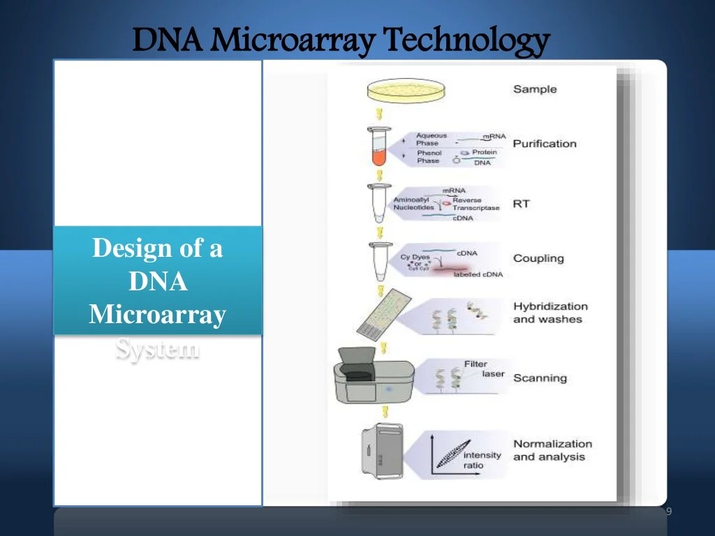 Microarray (DNA and SNP microarray)