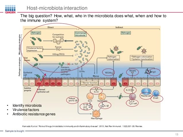 Microbial Pathogenesis and Host Immune Response