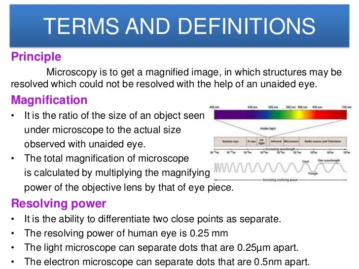 Microscope