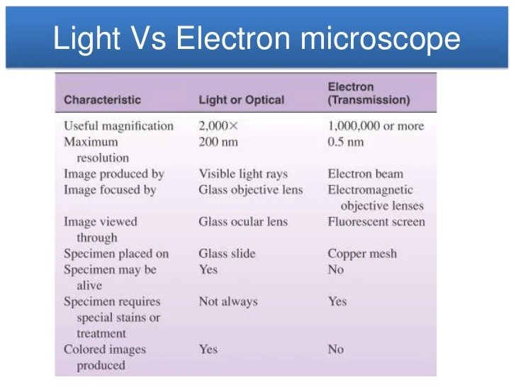 Microscope