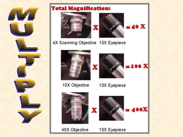 Microscope