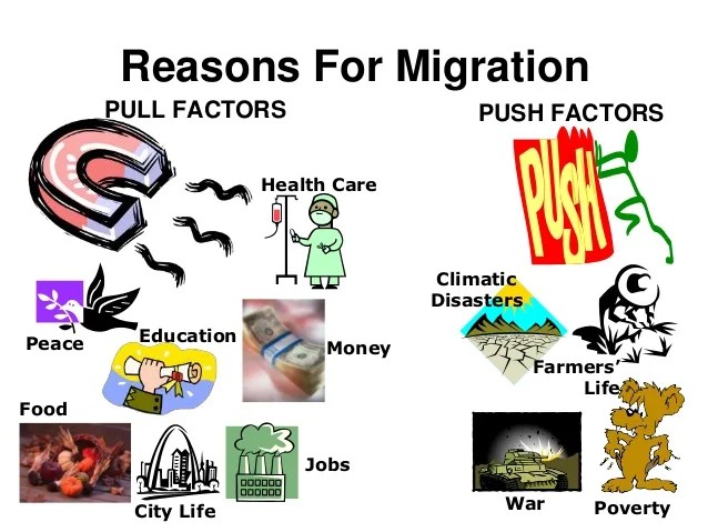 Migration