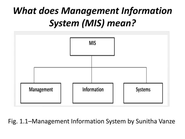 Management Information System PPT PPTX Operating Systems Computer