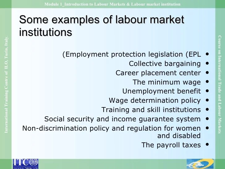 Module 1 introduction to labour markets & labour market institution f…