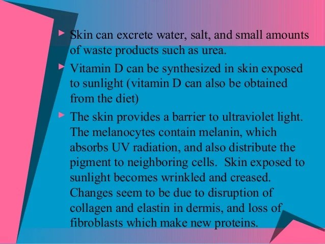 Module 3 integumentary system 1