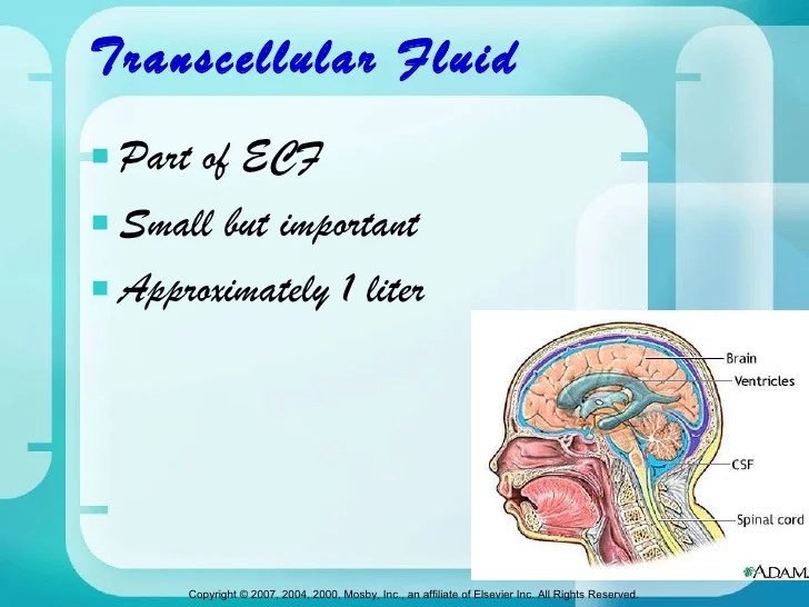 Ms.fluid&electrolytes