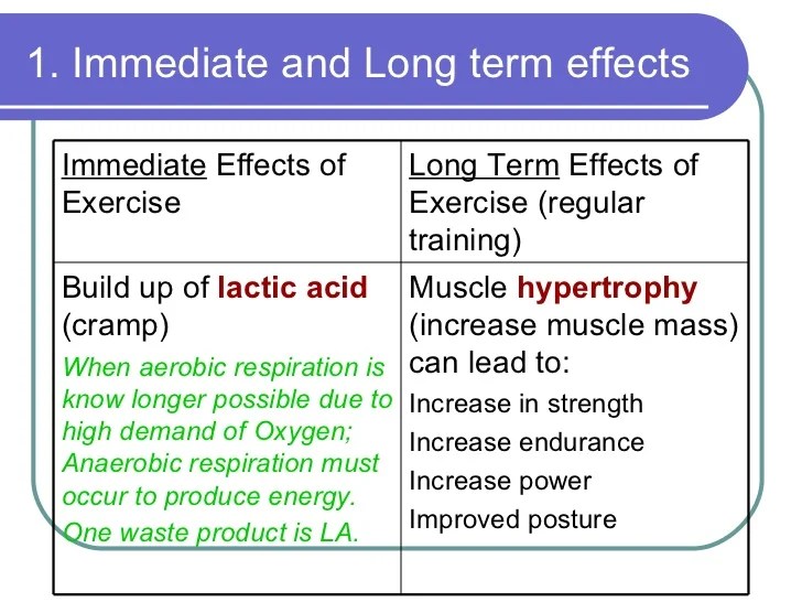 Muscular System Revision