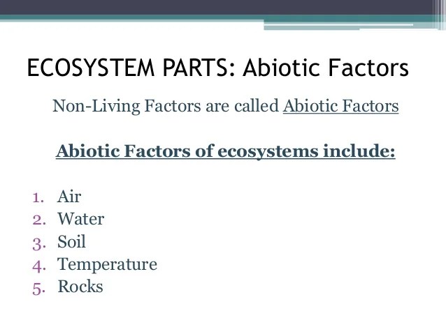 My ecosystemppt
