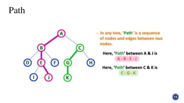 Tree in Graph Theory in Discrete structure