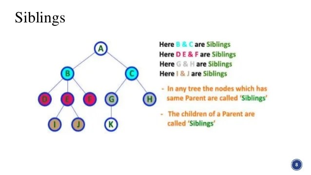 Tree in Graph Theory in Discrete structure