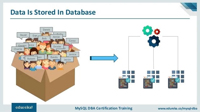 MySQL Tutorial For Beginners Relational Database