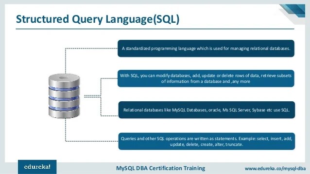 MySQL Tutorial For Beginners Relational Database