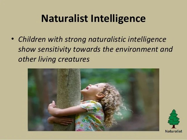 Naturalist intelligence presentation