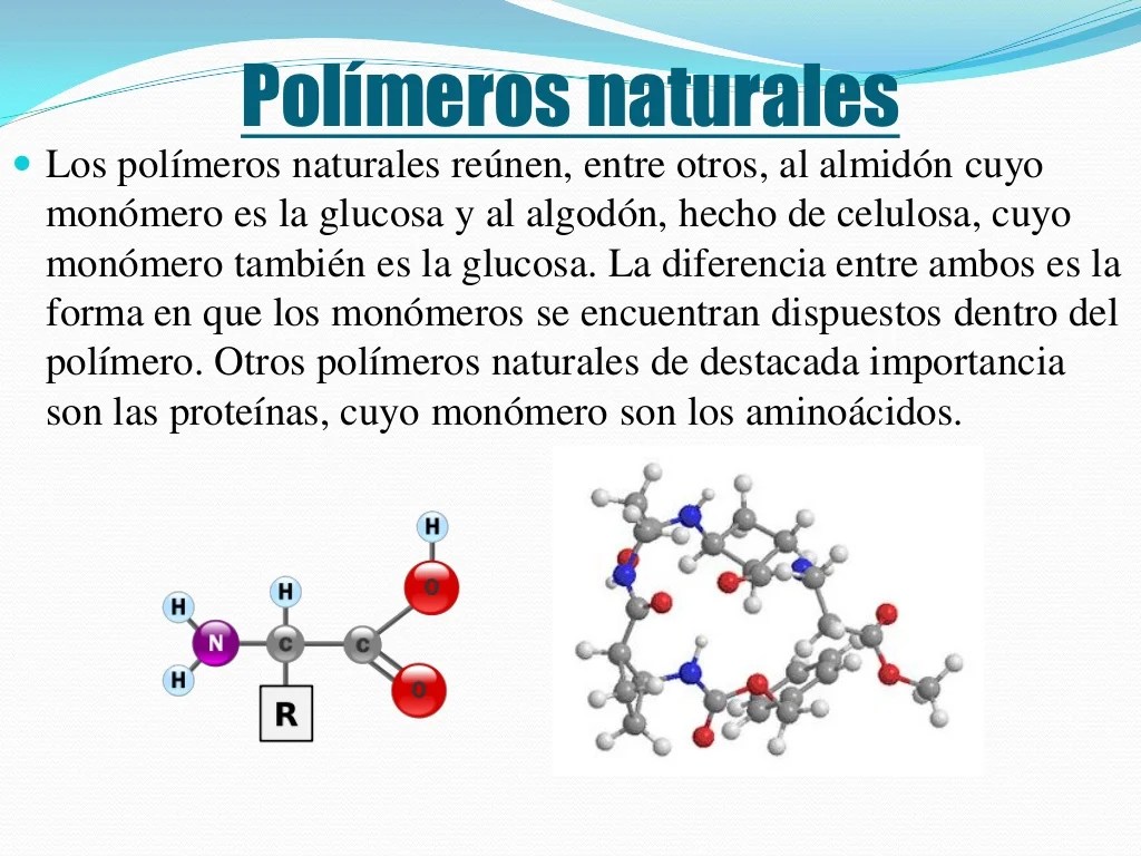 PPT 1 polímeros naturales