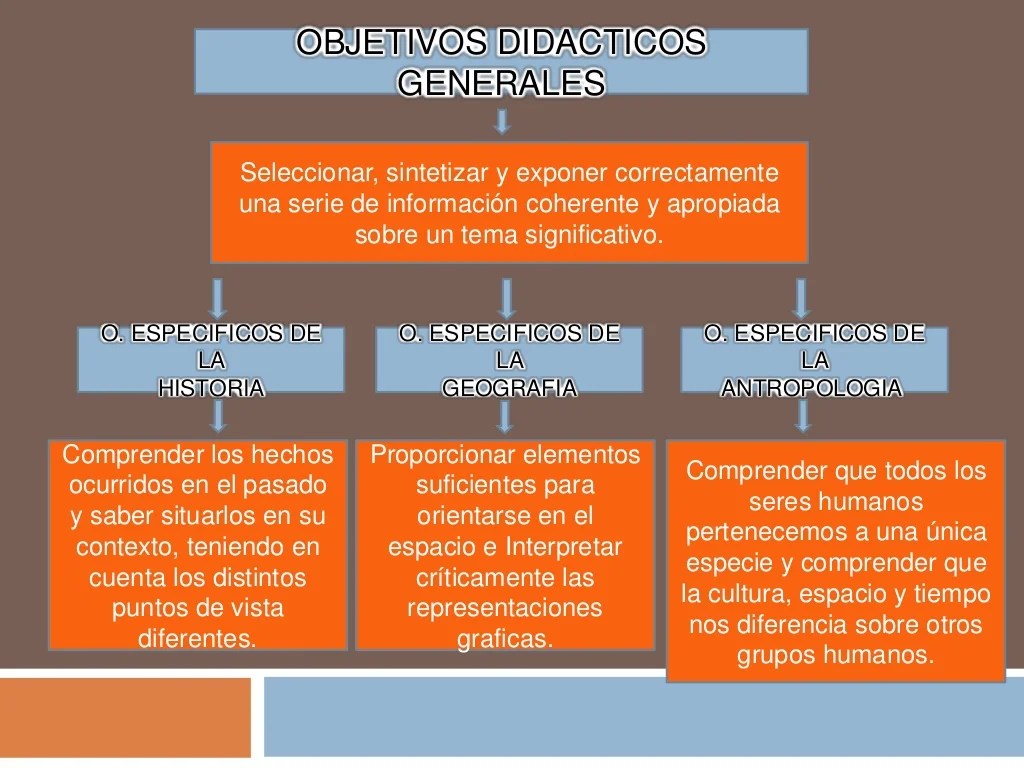 Objetivos didácticos de las ciencias sociales