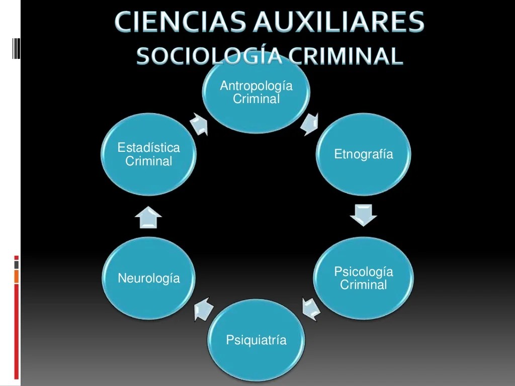 Ramas de la sociologia