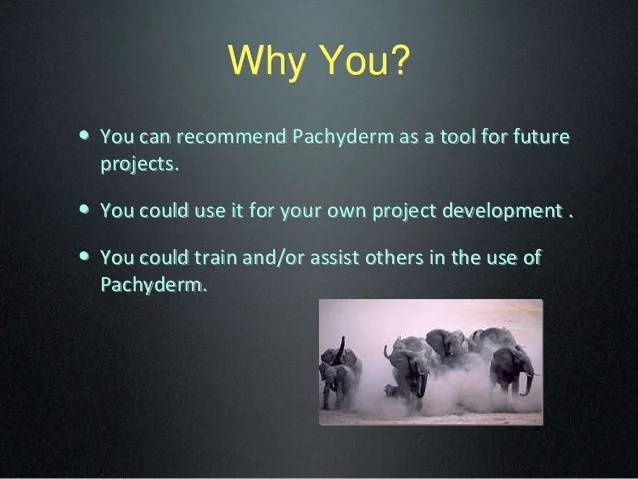 williamboxdesigns Pachyderm Definition