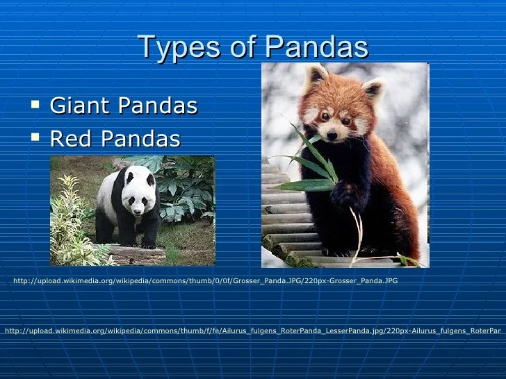 Pandas