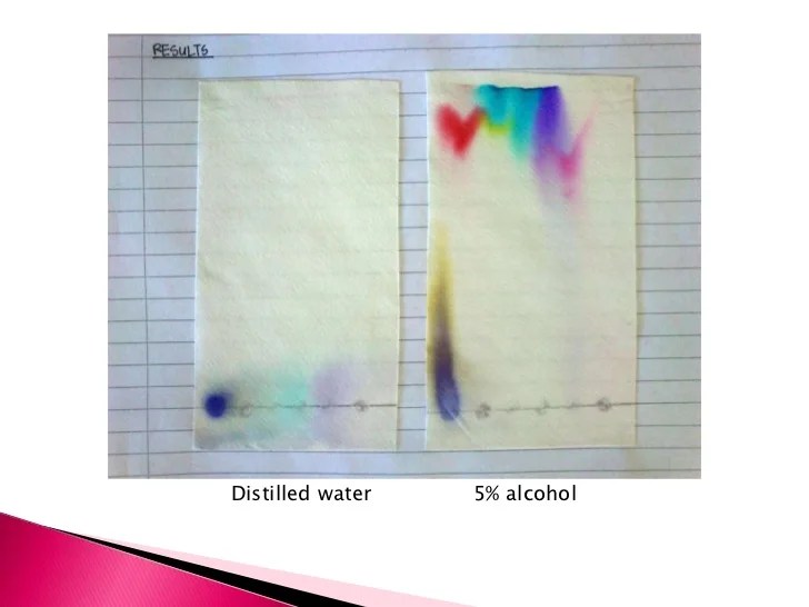 Get someone write my paper chromatography