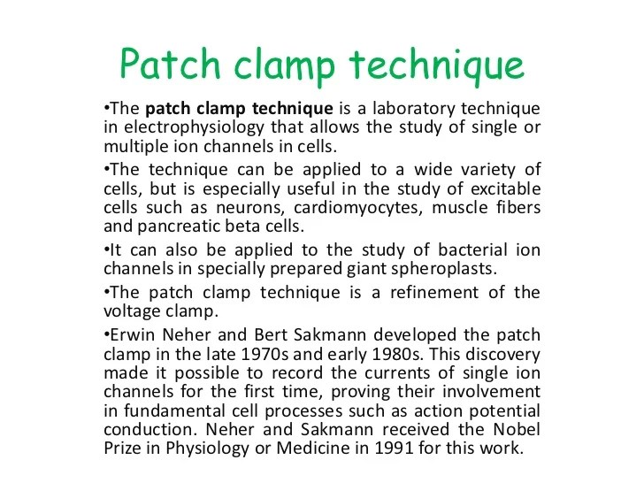 Patch clamp technique