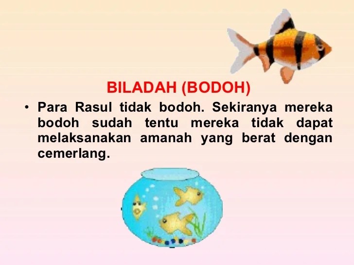 Pel 8. unit 2 rasul yang wajib diketahui