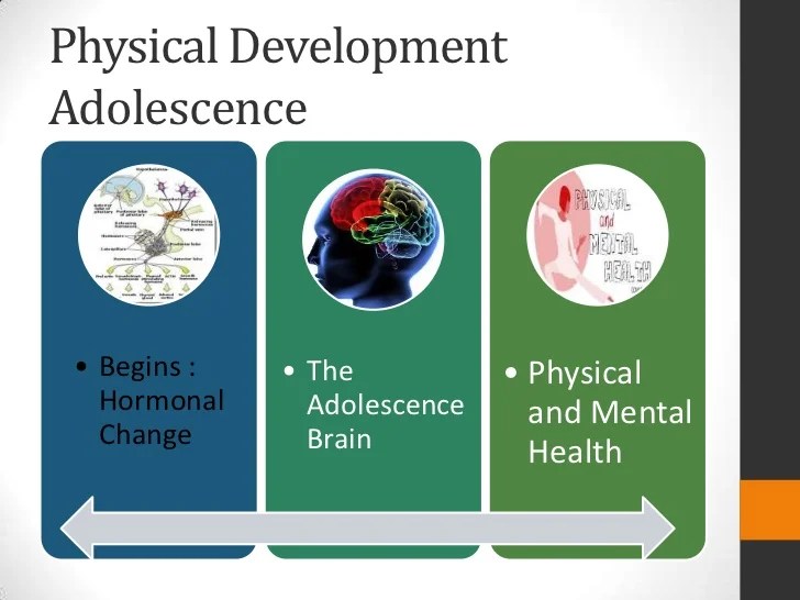 Physical Development during Adolescence Adolescent Psychology
