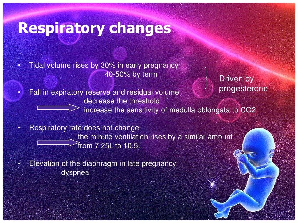 Physiological changes during pregnancy