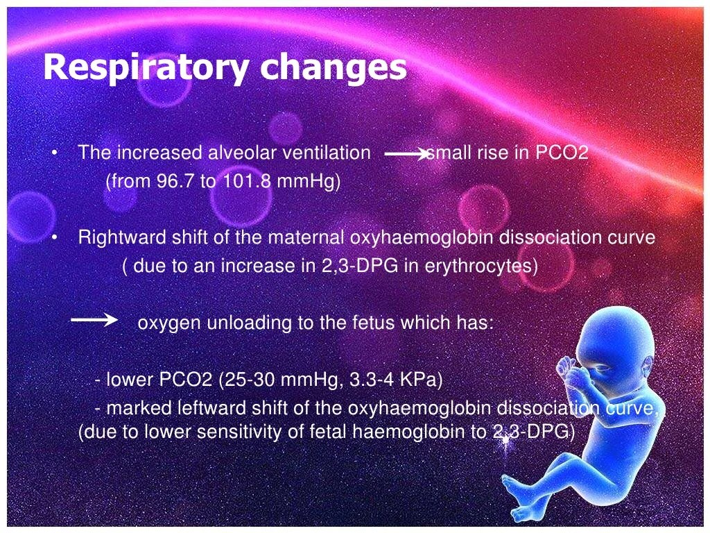 Physiological changes during pregnancy