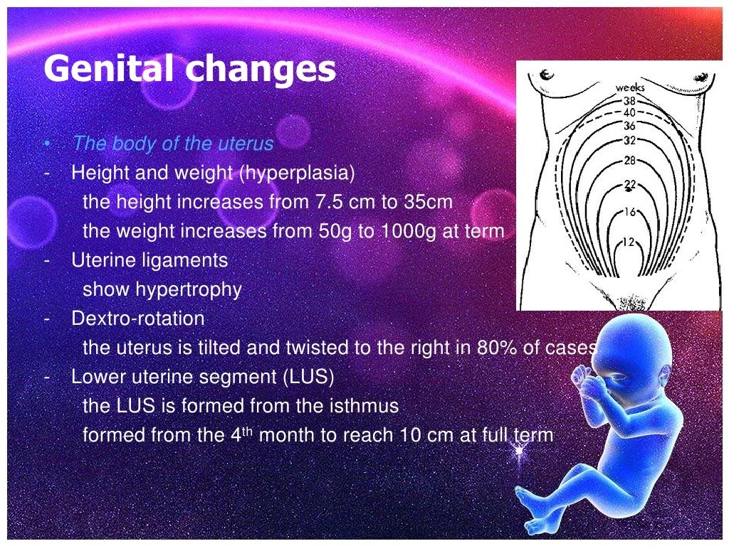 Physiological changes during pregnancy
