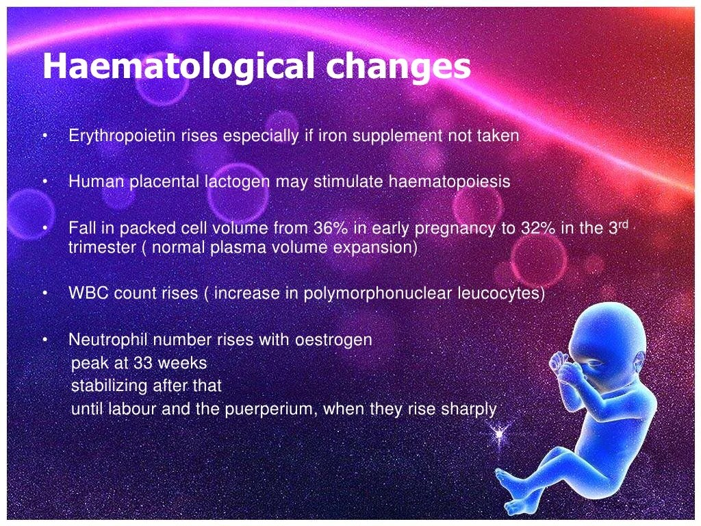 Physiological changes during pregnancy