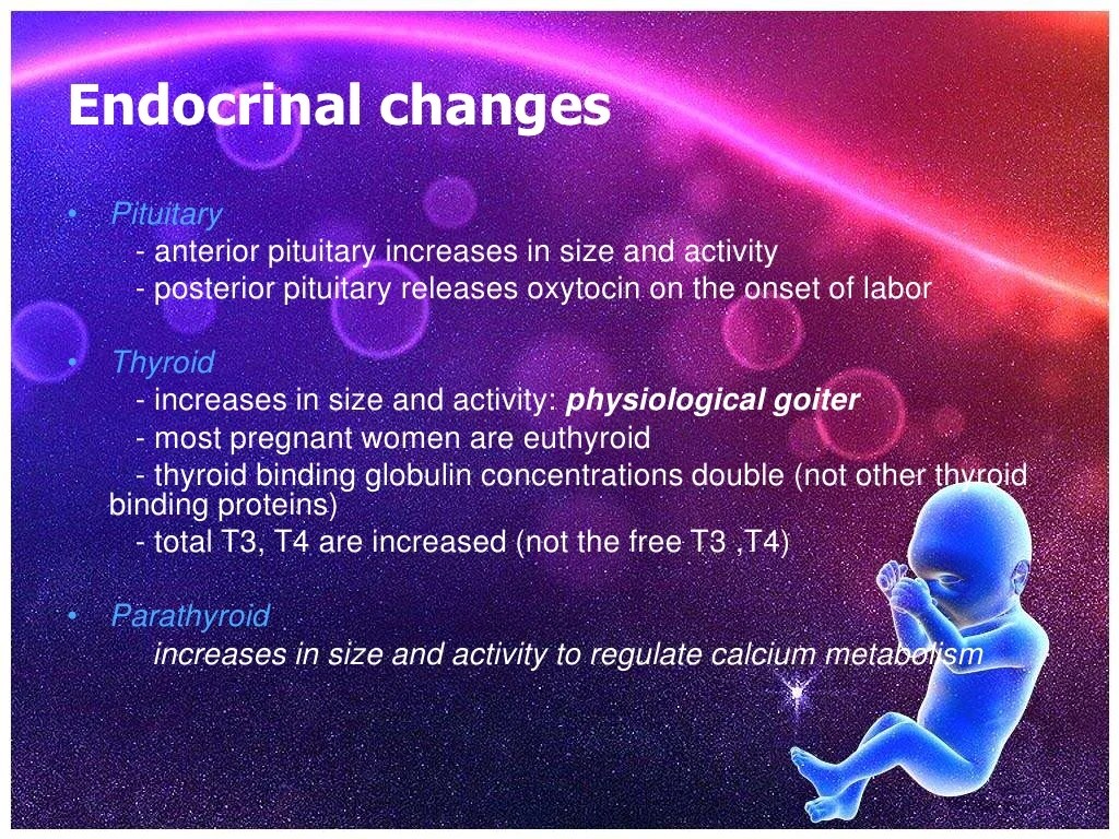 Physiological changes during pregnancy