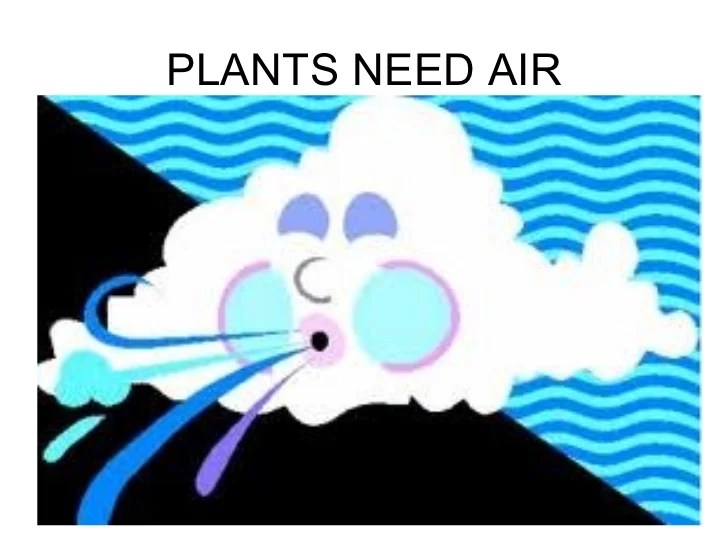 Plants need