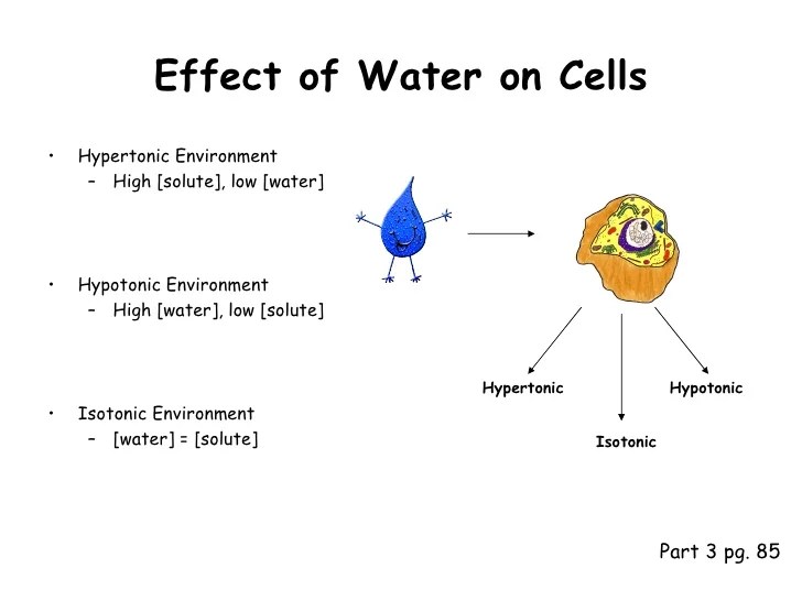 Ppt diffusion and osmosis