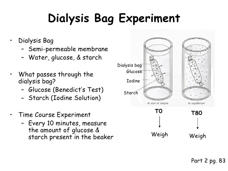 Ppt diffusion and osmosis