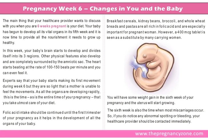 Light Bleeding During Early Pregnancy 7 Weeks