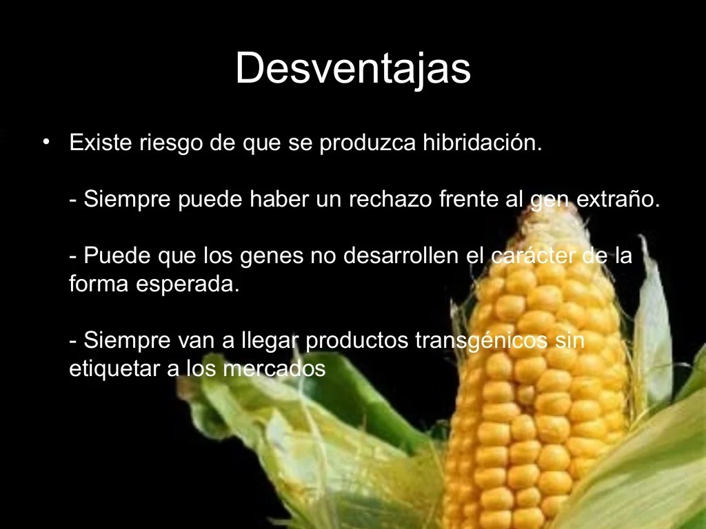 ventajas y desventajas de alimentos transgÃ©nicos