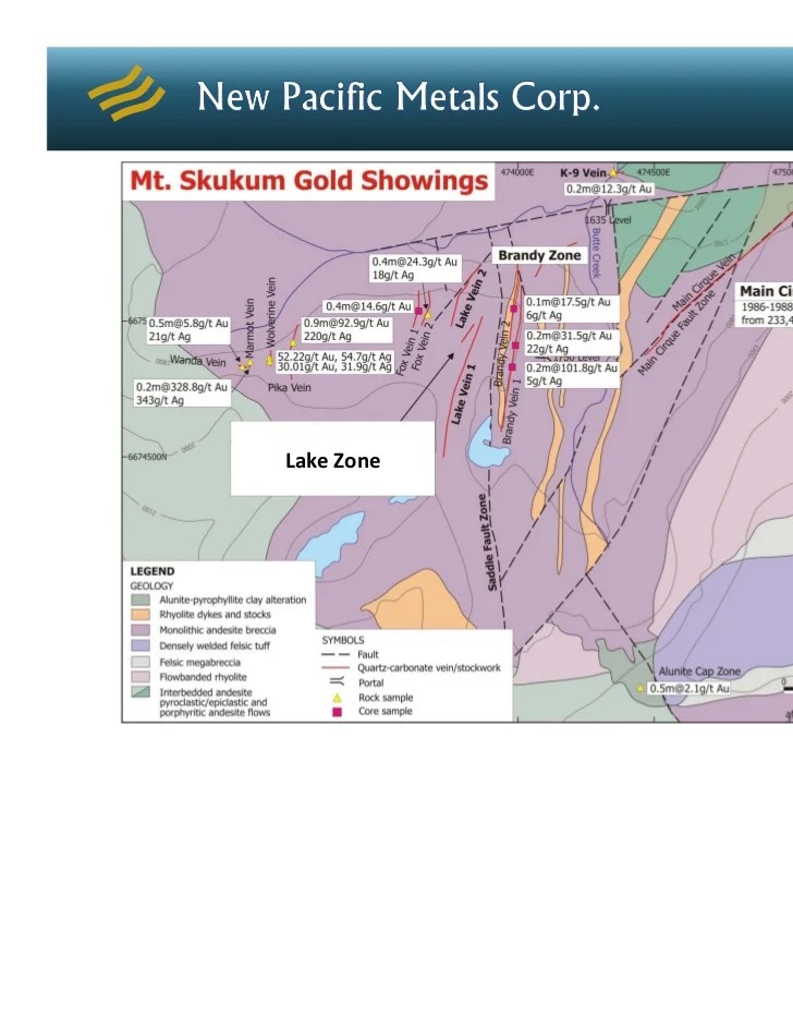 New Pacific Metals Corp. Presentation