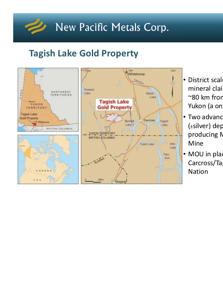 New Pacific Metals Corp. Presentation