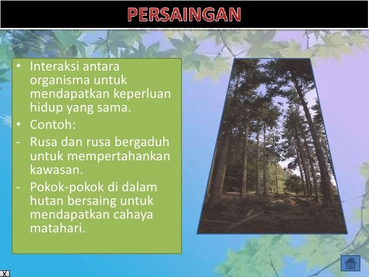 BAB 4 (Interaksi Antara Hidupan)