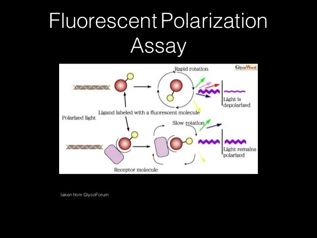 Microplate Assays and High Throughput Screening HTPC