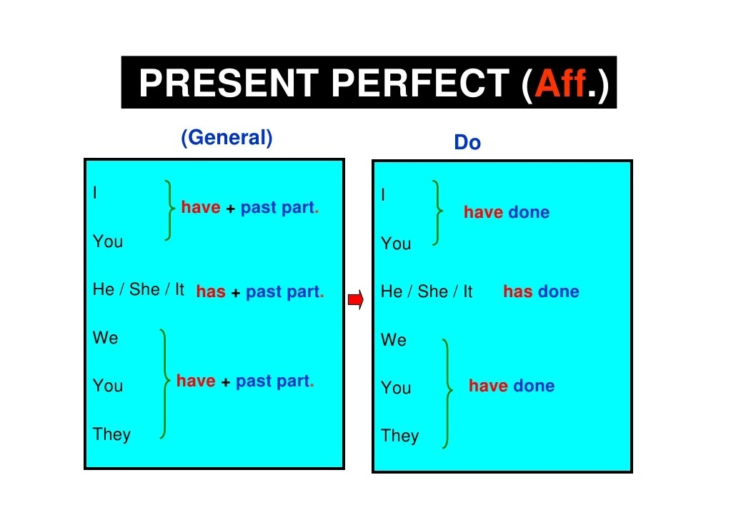 Present Perfect Simple Forms