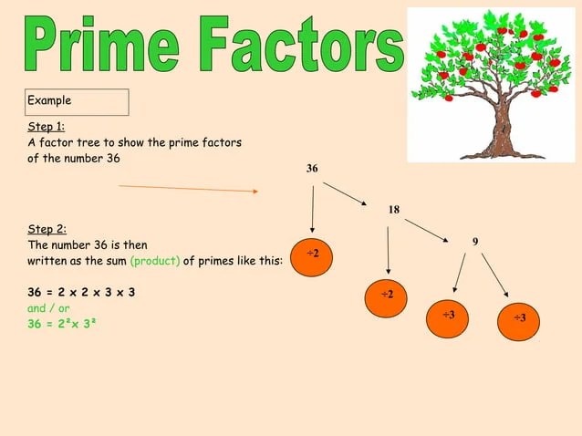 Prime Factorisation | PPT