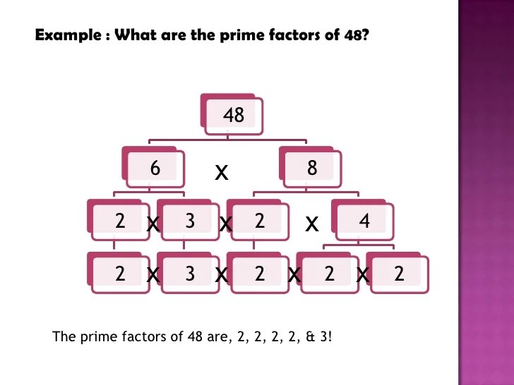 Prime Factorization