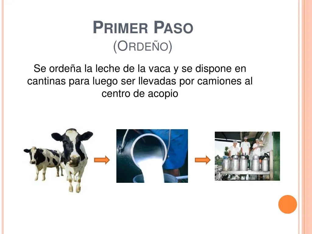 Proceso productivo leche