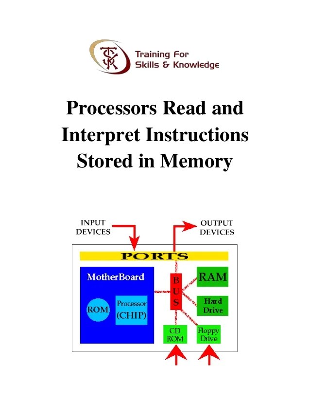 Processors read and interpret instructions stored in memory