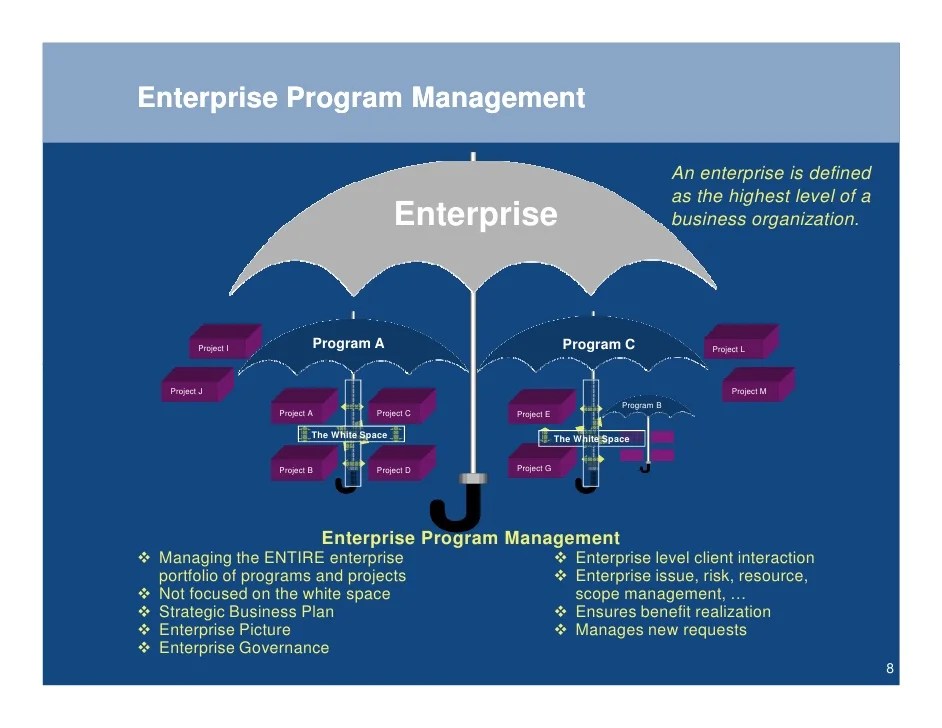 Program Mgmt Overview
